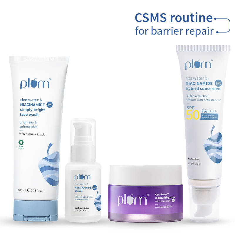 Plum Barrier Repair CSMS Routine